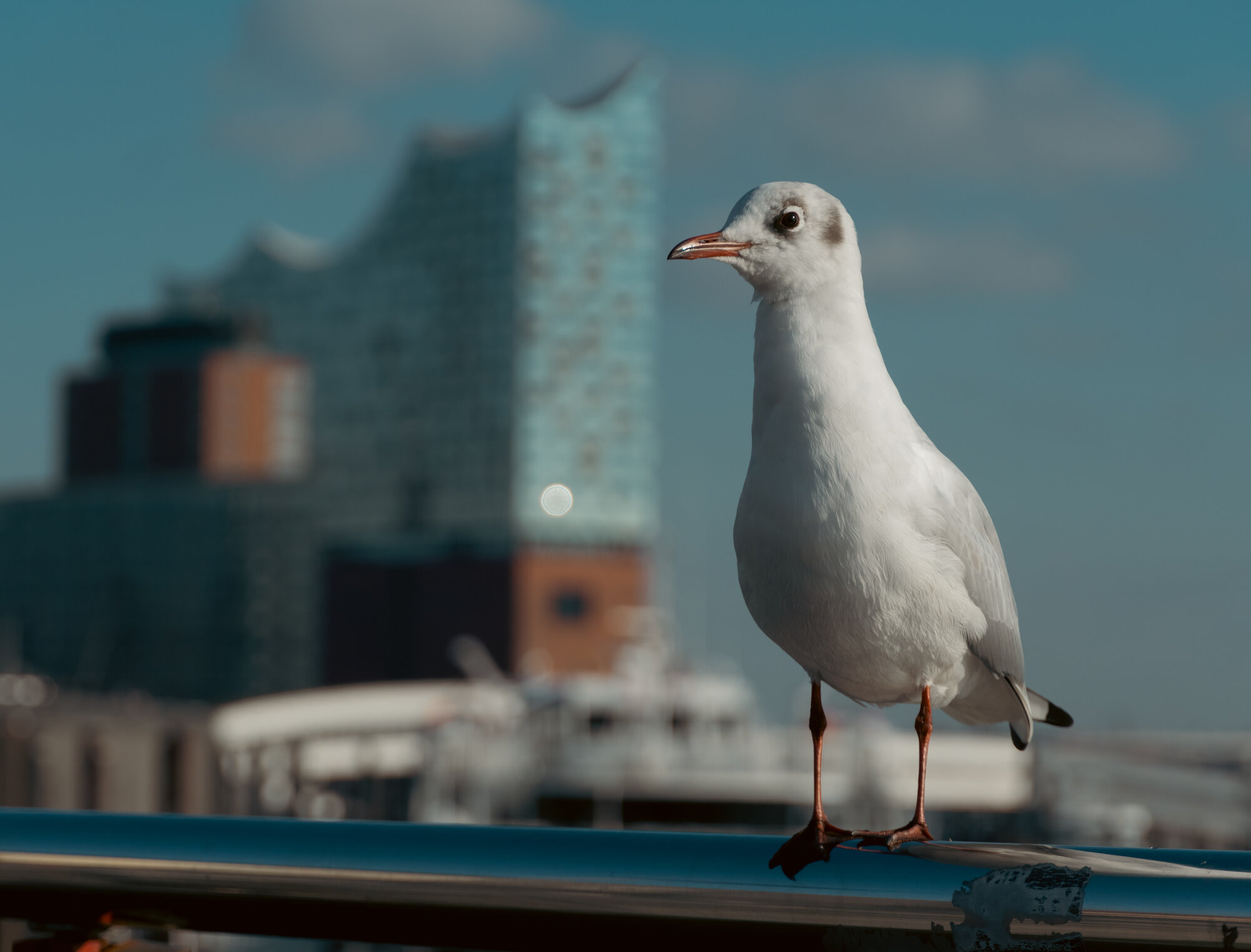 Hamburg